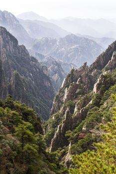 Yellow mountain valley during daylight with mountain range and sky in background 