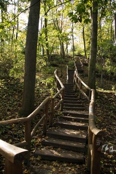 old stairs in the forest in germany in september