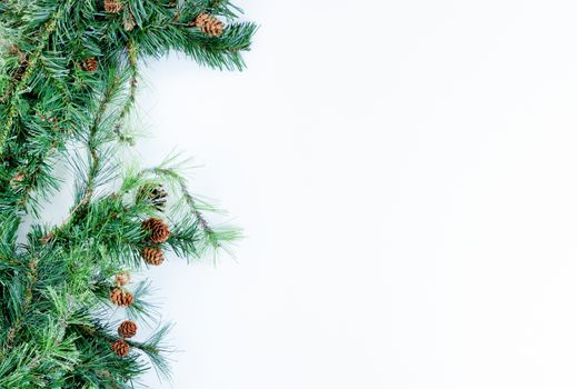 Christmas tree evergreen branches on left border of a white background  