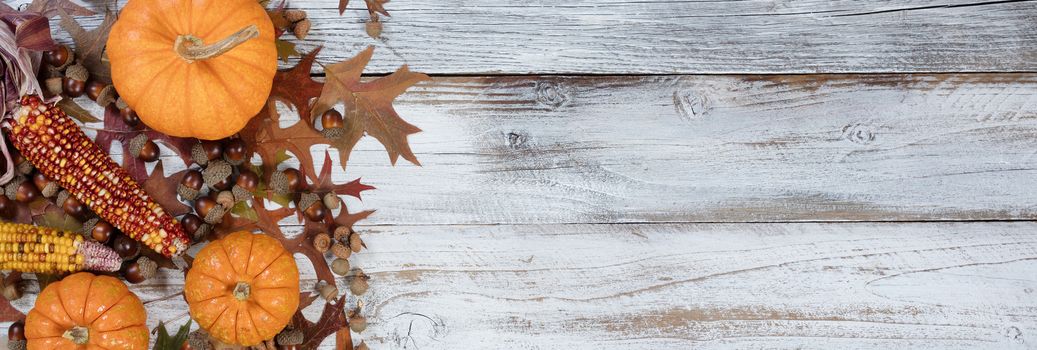 Autumn acorns, corn, pumpkins and faded leaves in flay lay view on rustic white wood with ample copy space