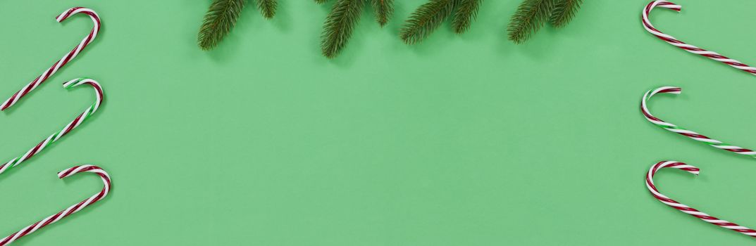 Green background with candy canes and fir branches for the Christmas season 