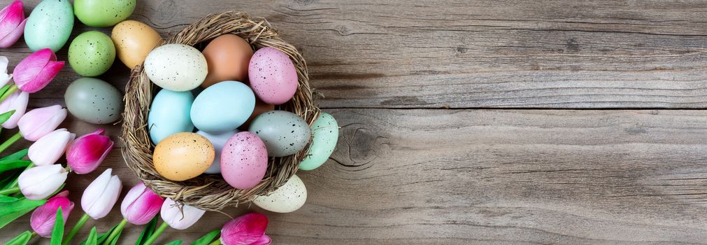 Tulips and colorful eggs in nest on rustic wooden boards for Easter Background 