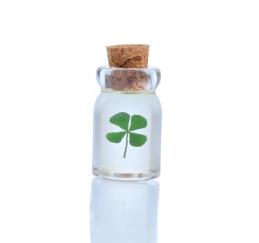 Sealed glass bottle holding single four leaf clover isolated on white with reflection. Luck in bottle concept for St. Patrick Day. 