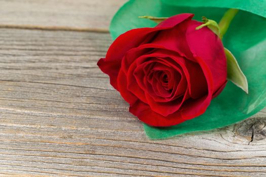 Close up of a single pristine red rose, wrapped in soft green paper, on rustic wood. Valentines day concept. 