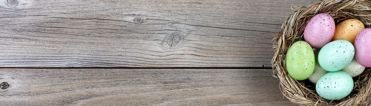 Natural bird nest and colorful eggs on weathered wood 