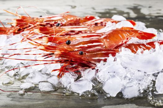 Freshly caught shrimp in ice on fishing dock 