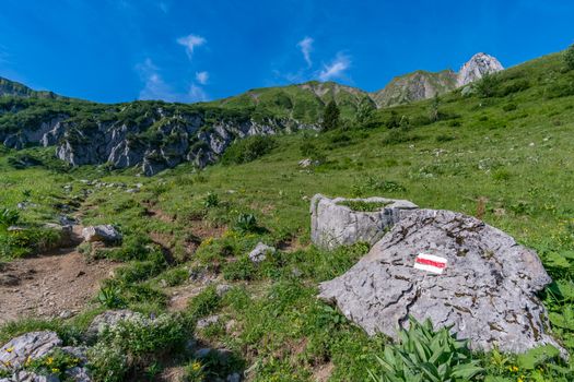 Beautiful mountain hike on the Great Widderstein in the Allgäu Alps in the Kleinwalsertal