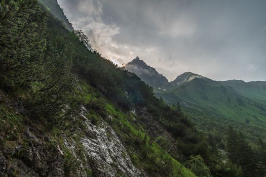 Beautiful mountain hike on the Great Widderstein in the Allgäu Alps in the Kleinwalsertal