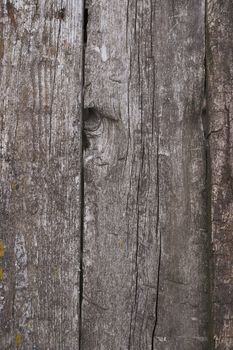 Old wooden texured surface closeup. Moss and relief on surface. Stock photo of old wooden pattern of aged boards with moss. Brown and gray colors on photo.