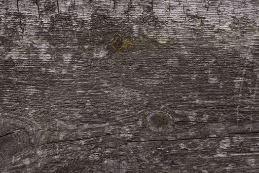 Old wooden texured surface closeup. Moss and relief on surface. Stock photo of old wooden pattern of aged boards with moss. Brown and gray colors on photo.