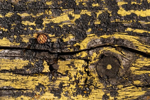 A part of old yellow wooden fence. The yellow paint on wood is old and cracked. Perfect painted wooden texture.