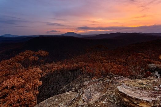 Sunset over charrred landscape after bush fires swept through parts of Blue Mountains Australia in summer of 2019-2020