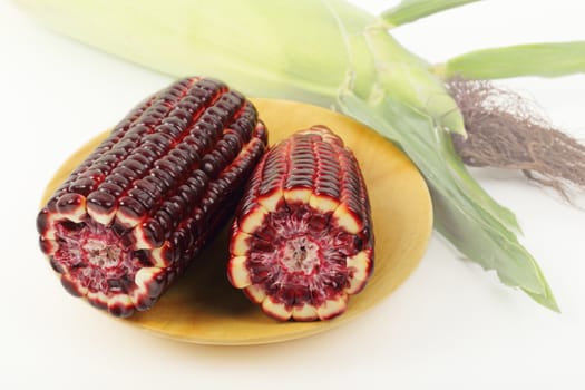 Fresh purple corn fruits isolated on wooden plate over white background. 