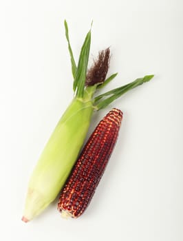 Top view of fresh purple corn fruits isolated on white background. 