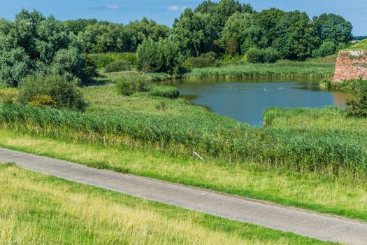 road with pond view