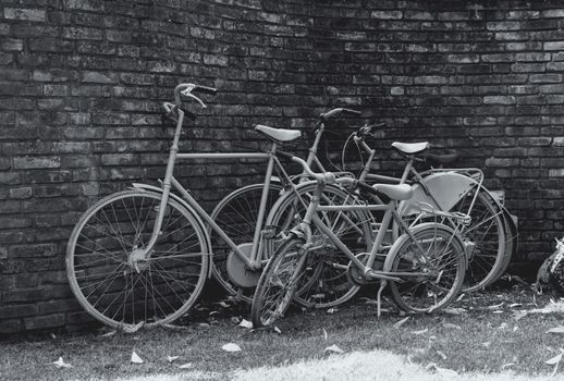 three bikes grass in front of a stone wall in black and white