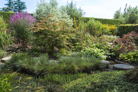english garden with wild flowers in yellow pink and red with rocks and stepping stones