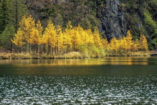 The beautiful autumn scenery of bipeng ditch in Sichuan, China.