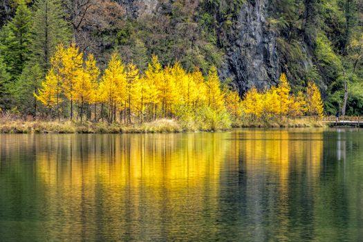 The beautiful autumn scenery of bipeng ditch in Sichuan, China.