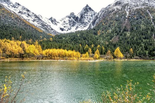 The beautiful autumn scenery of bipeng ditch in Sichuan, China.