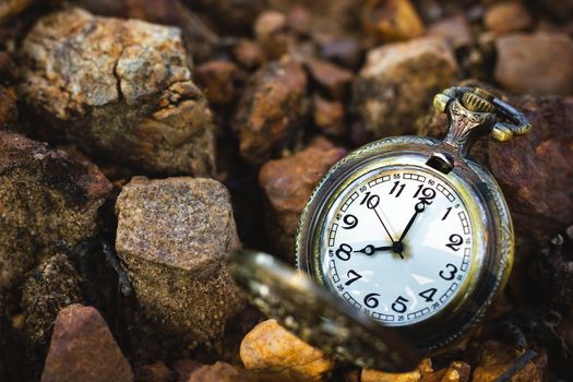 Vintage old pocket watch placed on the ground in forest and morning sunlight. At 8 o’clock. Closeup and copy space.