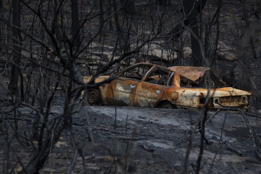 an old abandoned dumped car is burnt out during bush fires in Australia