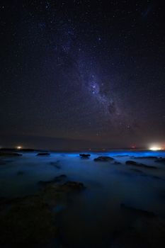 The ocean glowing a brilliant iridescent blue and glittering sparkly light from bioluminescent algae.  A magical phenomenon.  Twinkling stars overhead made a magical evening
