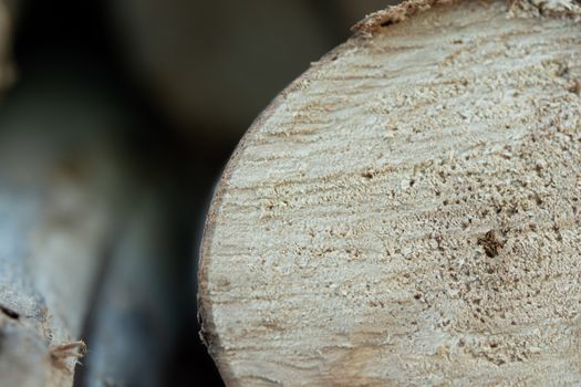 Wooden logs stack, tree stumps background