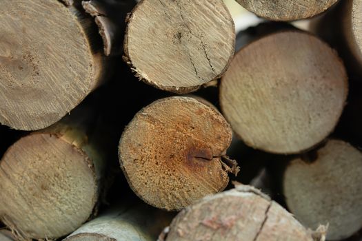 Wooden logs stack, tree stumps background