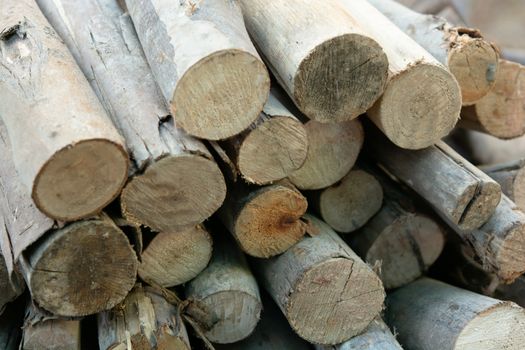 Wooden logs stack, tree stumps background