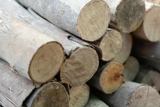 Wooden logs stack, tree stumps background