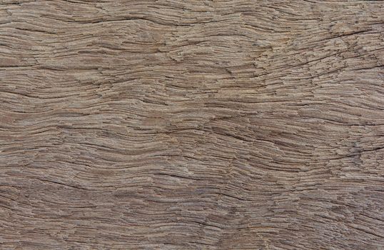 Old plank wood texture background. wood surface eroded as background
