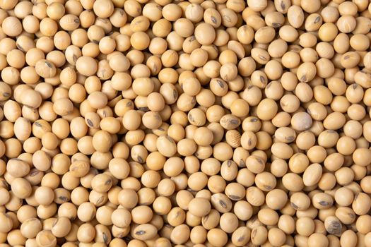 Soybean pattern as for background

