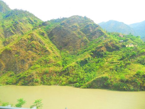 a green forest in the mountains