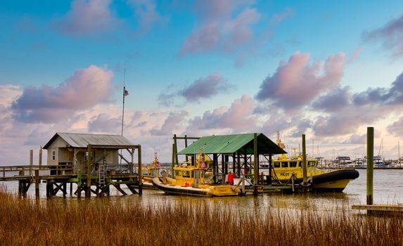 Yellow pilot boats tied up at a pier beyond the marshy wetlands