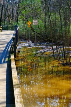 Sign Reflections in Flood Water by Woodland Trail