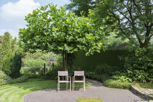 two pink furniture plastic chairs in garden witch background of bgreen tree and plants