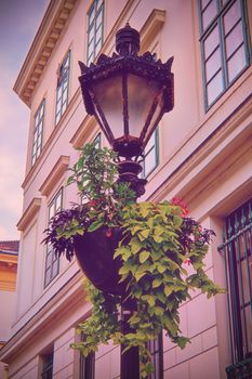 Ornate street lantern with beautiful hanging flower pot in front of an old building. Hanging potted flowers on a street lamp in Budapest. Architecture and street lamp design. Urban streetscape.