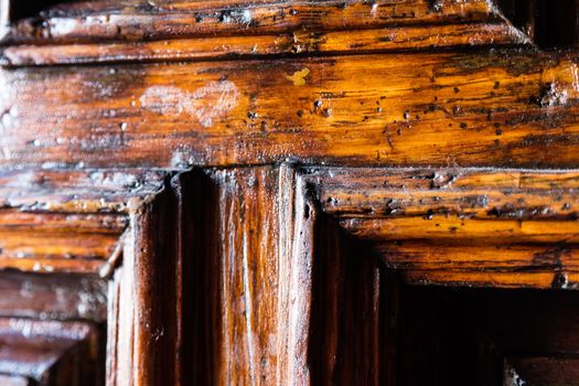 Old wood texture with the woodworm holes