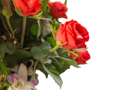 The Bouquet Of Roses isolated on white background side view.