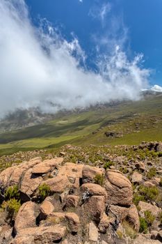 Ethiopian Bale Mountains National Park with clouds covering peak. Ethiopia wilderness pure nature. Sunny day with blue sky.