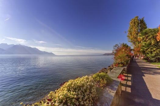 Plants and flowers on the lakeside of Geneva Leman lake at Montreux by beautiful day, Switzerland