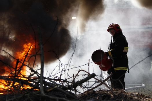 The fireman extinguishes with a foam forest fire.The brave firefighter. Forest fire. Fight fire