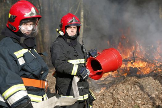 Firefighters preparing to extinguish forest fire.Extinguish the fire. Work firefighter. Fight with fire. Dangerous profession