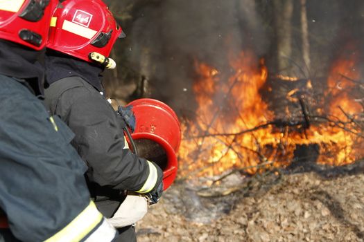 Two firemen extinguish forest fire.Extinguish the fire. Work firefighter. Fight with fire. Dangerous profession