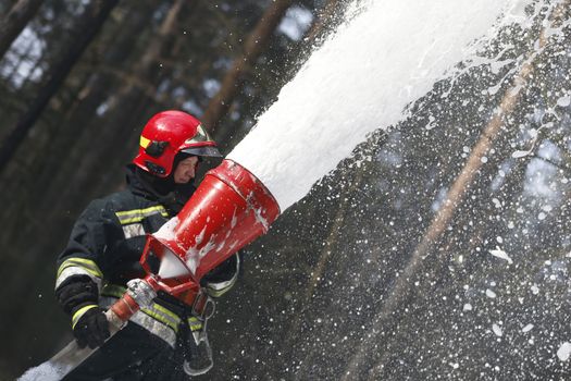 Firefighter extinguishes a fire.Forest fire. Fighting with fire.