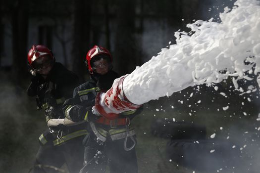 Extinguishing the fire. Firemen are working. Fill the foam with a fire. Resolute firefighters. Fight fire.