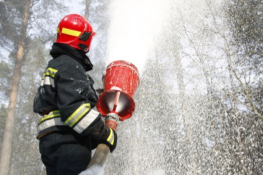 Firefighter extinguishes a fire.Forest fire. Fighting with fire.