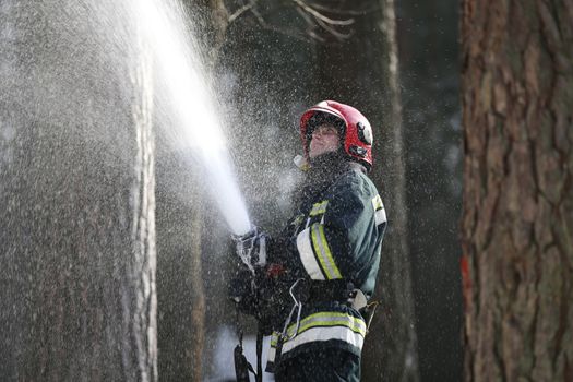 Fire man.Extinguish forest fires. Fighting fire