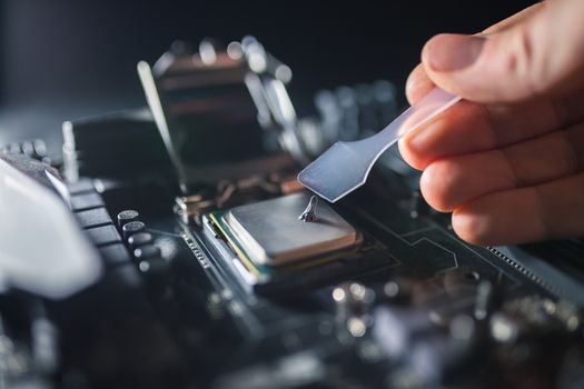 Technical support worker greases with thermal grease paste computer processor